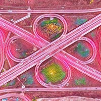 Развязка московского тракта